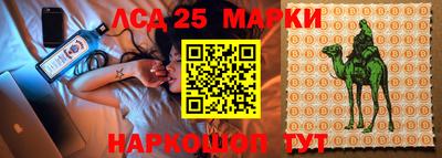 прущие грибы Аргун