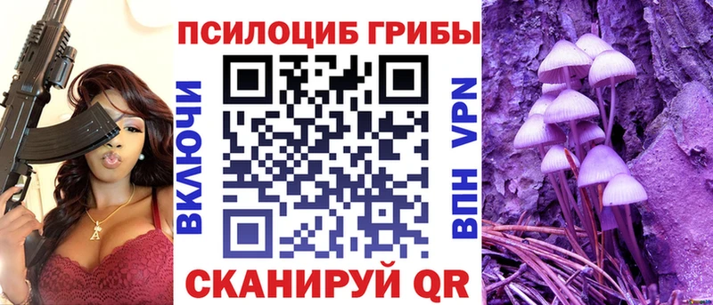 Галлюциногенные грибы ЛСД цена наркотик shop официальный сайт Курчатов