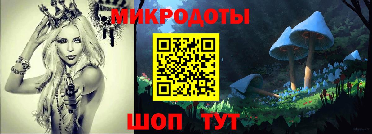 Псилоцибиновые грибы Psilocybe  Вход с VPN  Курчатов 