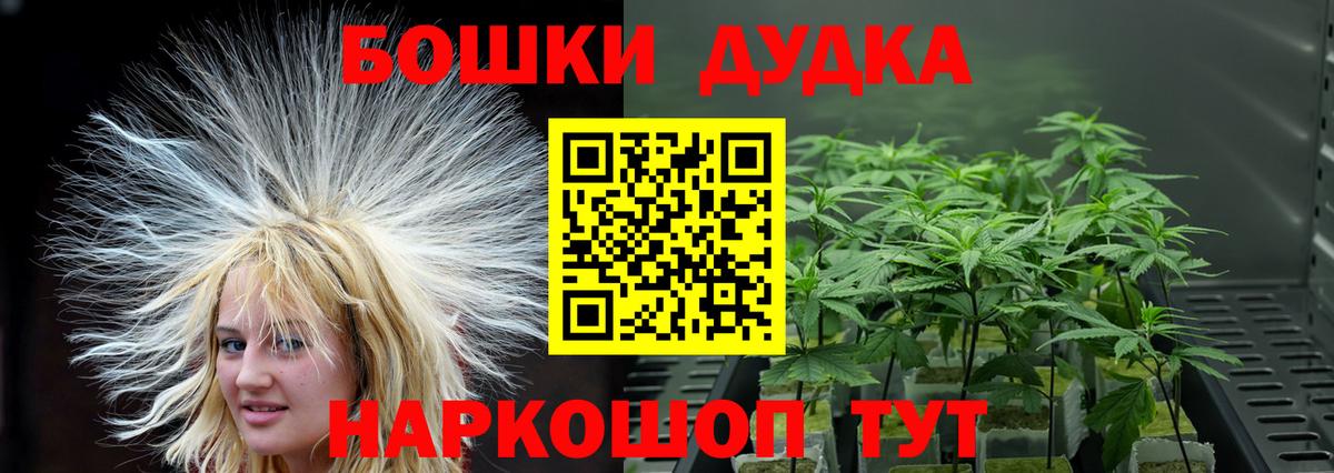 Курчатов  Конопля ГИДРОПОН  Вход с VPN  Конопля MAZAR  Бошки Шишки White Widow 
